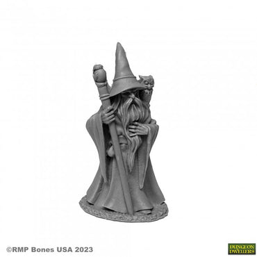 ANUMINAR WINTERBEARD, WIZARD