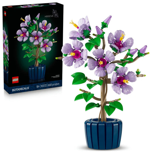10372 Hibiscus