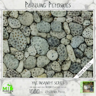 Puzzling Petoskies 1000PC Puzzle