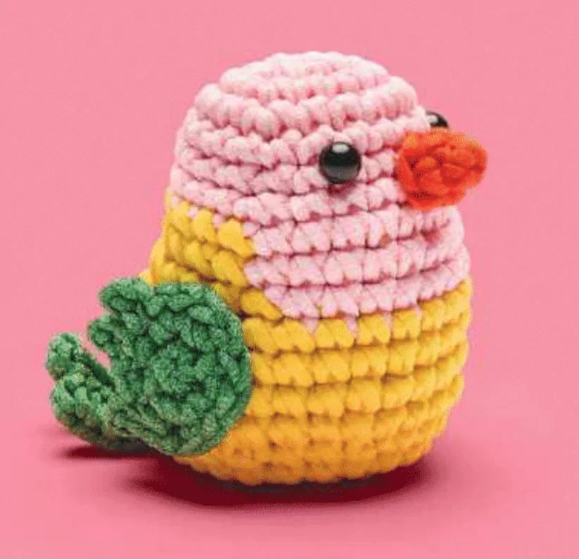 Cupid the Lovebird