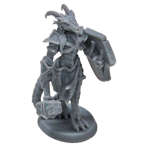 Dragonfolk Paladin